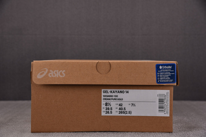 ASICS x Sneaker Politics Gel-Kayano 14 